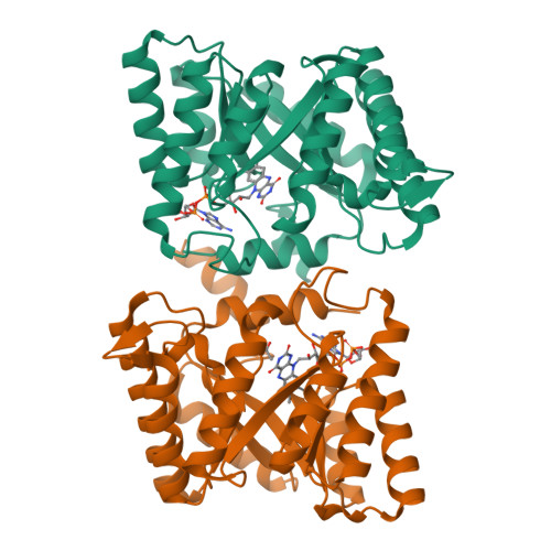 RCSB PDB - 4H6R: Structure of reduced Deinococcus radiodurans