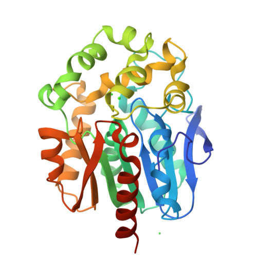 RCSB PDB - 4H7K: Crystal structure of haloalkane dehalogenase LinB ...