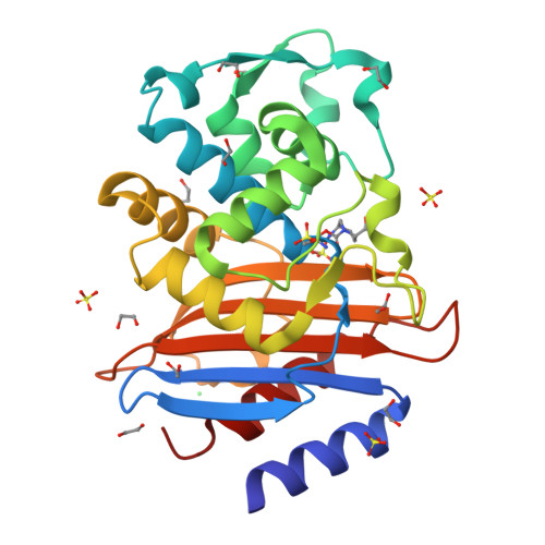 RCSB PDB - 4HBU: Crystal structure of CTX-M-15 extended-spectrum beta ...