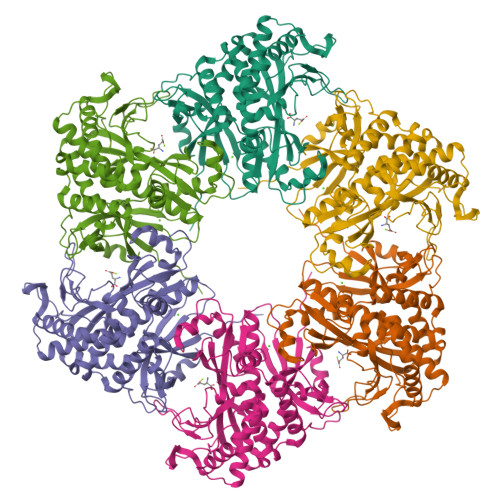 RCSB PDB - 4HPP: Crystal structure of novel glutamine synthase homolog