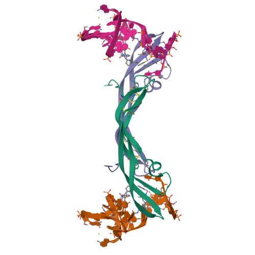 RCSB PDB - 4HQX: CRYSTAL STRUCTURE OF HUMAN PDGF-BB IN COMPLEX WITH A ...