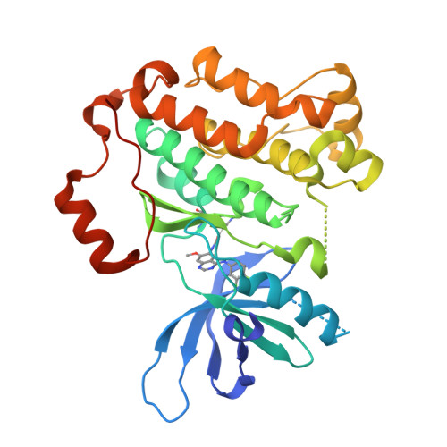 RCSB PDB - 4I24: Structure of T790M EGFR kinase domain co-crystallized ...