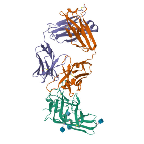 RCSB PDB - 4I3R: Crystal structure of the outer domain of HIV-1 gp120 in  complex with VRC-PG04 space group P3221