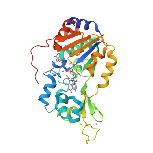 RCSB PDB - 4V83: Crystal structure of a complex containing domain