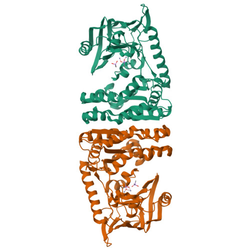 RCSB PDB - 4ICR: Structural basis for substrate recognition and ...