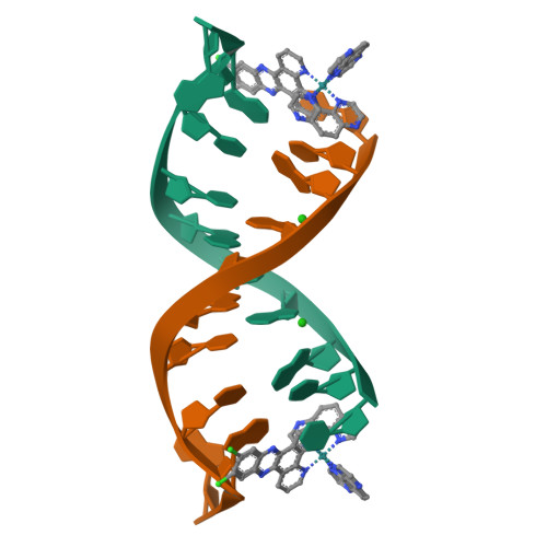 Rcsb Pdb Iii Lambda Ru Tap Cl Dppz With A Dna Decamer At