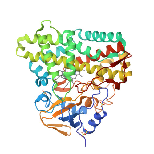 YVETTE R-14 Structure リング YVETTE R-14 Structure リング（オンラインショップ | YVETTE