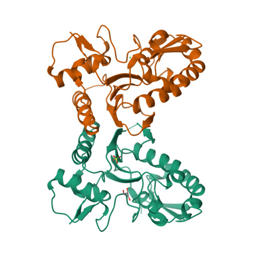 RCSB PDB - 4IRB: Crystal Structure of Vaccinia Virus Uracil DNA ...