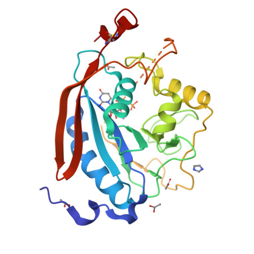 PDB 4IRP