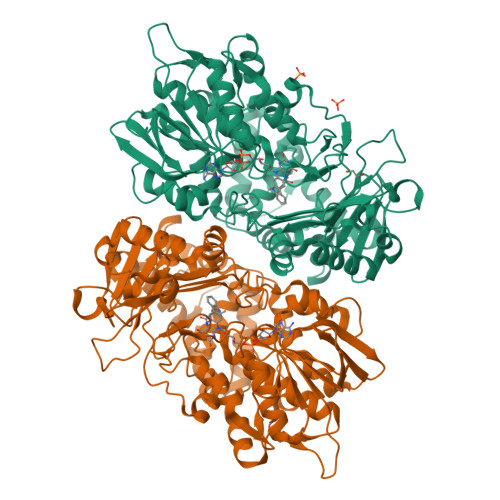 RCSB PDB - 4IV9: Structure of the Flavoprotein Tryptophan-2-Monooxygenase