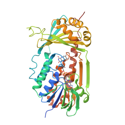 Kynurenine 3-monooxygenase structure