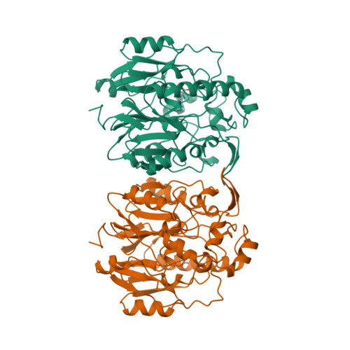RCSB PDB - 4JDW: CRYSTAL STRUCTURE AND MECHANISM OF L-ARGININE 