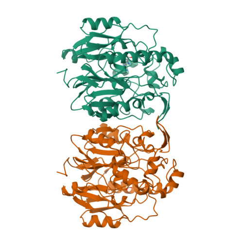 RCSB PDB - 4JDW: CRYSTAL STRUCTURE AND MECHANISM OF L-ARGININE 