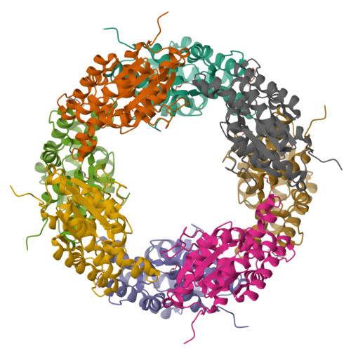 Ruruページ RCSB PDB - 4JJ4: Crystal structure of a catalytic mutant of Axe2