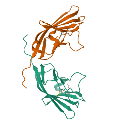 Rcsb Pdb Jjh Crystal Structure Of The D Domain From Human Nectin Extracellular Fragment