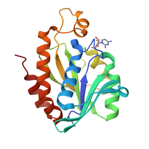 RCSB PDB - 4JWK: Crystal structure of the complex of peptidyl-tRNA ...