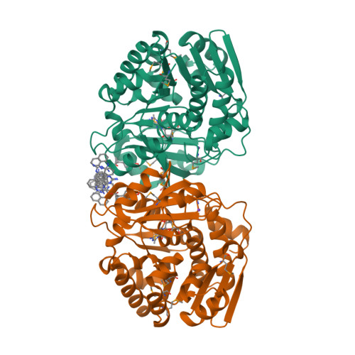 RCSB PDB - 4K8K: Crystal Structure Of Probable Sugar Kinase Protein ...