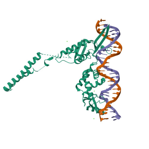 RCSB PDB - 4KIS: Crystal Structure of a LSR-DNA Complex