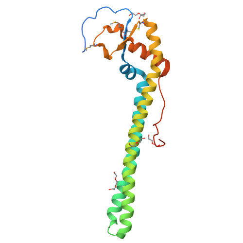 RCSB PDB - 4KQT: Crystal structure of a putative outer membrane ...