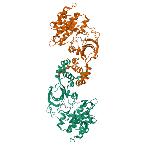 PDB 4L6Q