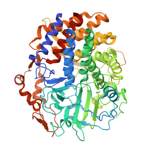 RCSB PDB - 4L6X: Crystal Structure Of A GH48 Cellobiohydrolase From ...