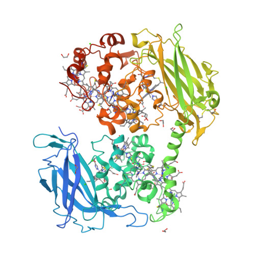 RCSB PDB - 4LM8: Crystal structure of the outer membrane decaheme ...