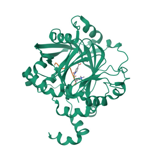 Lysine-specific demethylase 4B structure