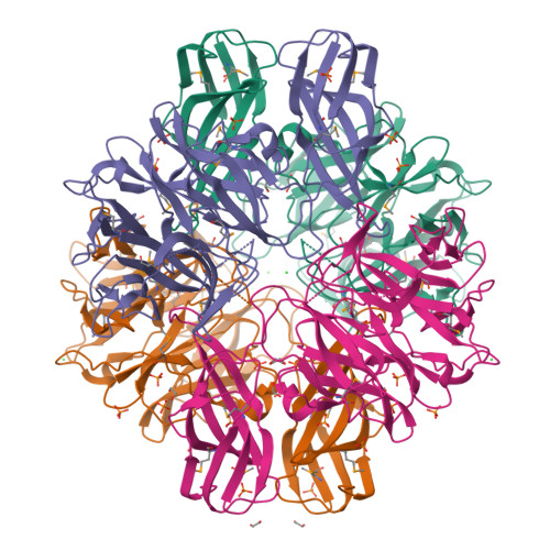 RCSB PDB - 4M8R: Crystal structure of a DUF4784 family protein (BACCAC ...