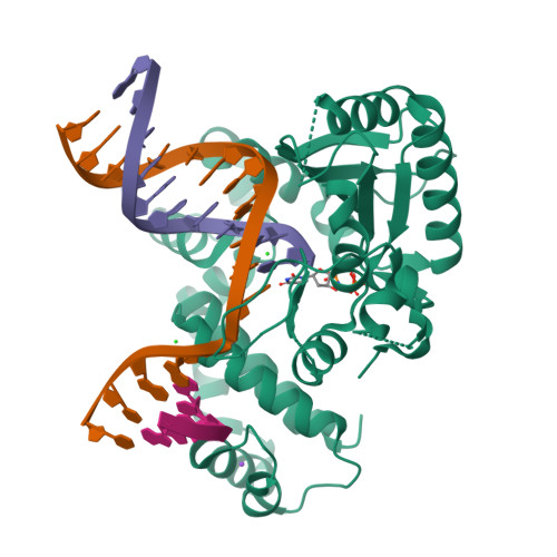 RCSB PDB - 4M9J: DNA Polymerase Beta E295K Soaked with dUMPNPP