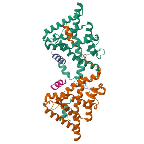 RCSB PDB - 4MDD: Crystal Structure of the Glucocorticoid Receptor Bound ...