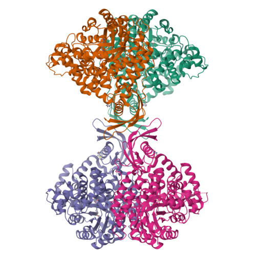 RCSB PDB - 4MFE: Structure Of The Carboxyl Transferase Domain From ...