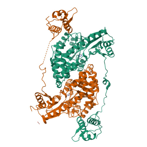 RCSB PDB - 4MGR: The crystal structure of Bacillus subtilis GabR, an ...