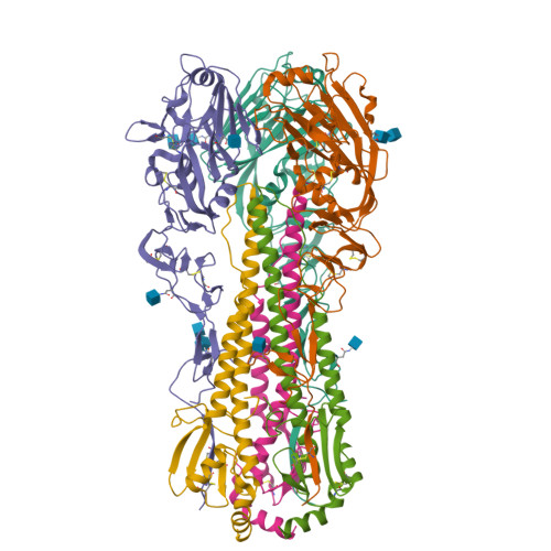 influenza virus h5n1