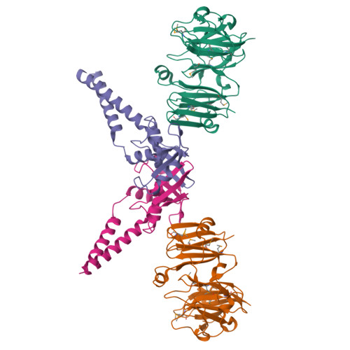 RCSB PDB - 4MN4: Structural Basis for the MukB-topoisomerase IV Interaction