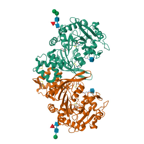 RCSB PDB - 4MWS: Crystal structure of human PPCA (trigonal crystal form 1)
