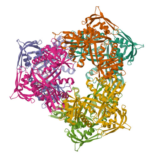 RCSB PDB - 4MY3: Crystal Structure Of GCN5-related N-acetyltransferase ...