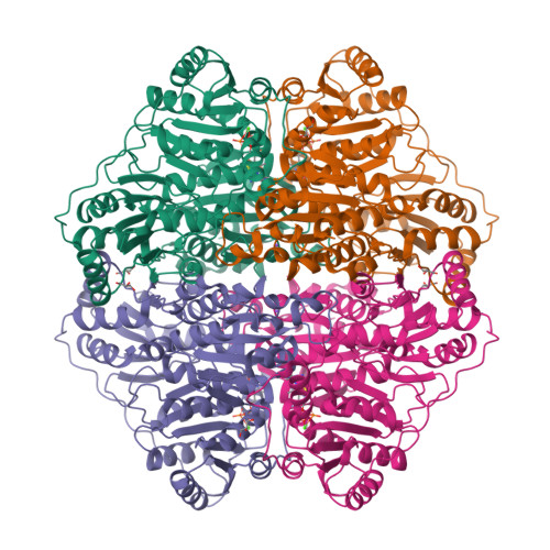 いま人気のアイテム RCSB PDB Benzoylformate of Structure Crystal 4MZX: - ウェア