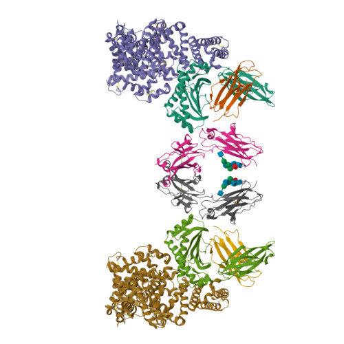 RCSB PDB - 4N0U: Ternary complex between Neonatal Fc receptor, serum ...