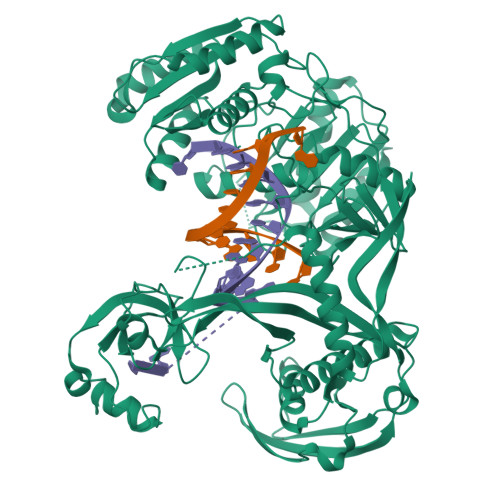 RCSB PDB - 4N47: Structure of Thermus thermophilus Argonaute bound 