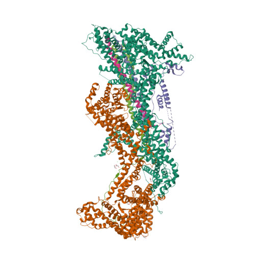 RCSB PDB - 4N78: The WAVE Regulatory Complex Links Diverse 