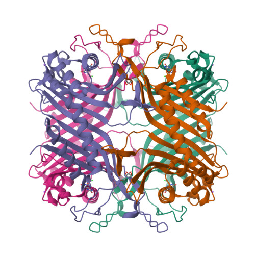 RCSB PDB - 4N9S: High resolution X-RAY STRUCTURE OF URATE OXIDASE IN ...