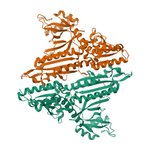 Proline--tRNA ligase structure