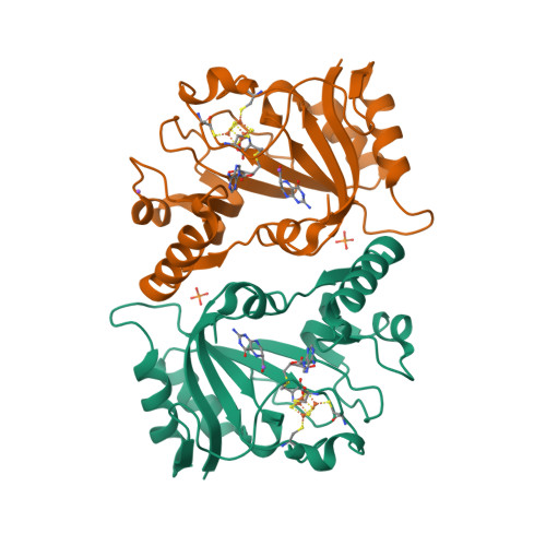 rcsb-pdb-4njh-crystal-structure-of-quee-from-burkholderia