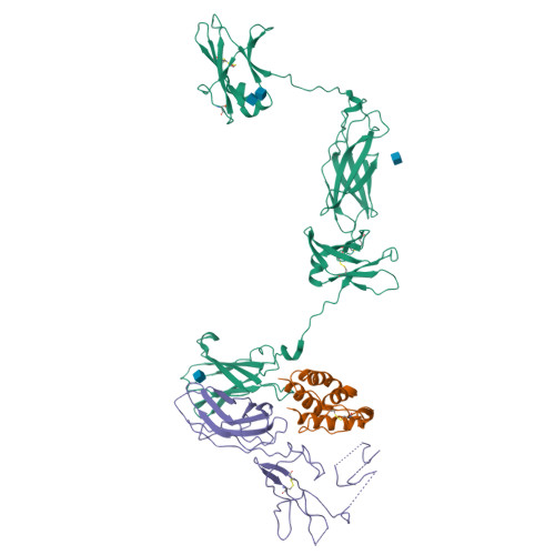 PDB 4NKQ
