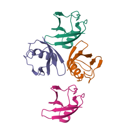 RCSB PDB - 4NPN: Crystal structure of human tetra-SUMO-2