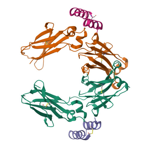 RCSB PDB - 4NQS: Knob-into-hole IgG Fc