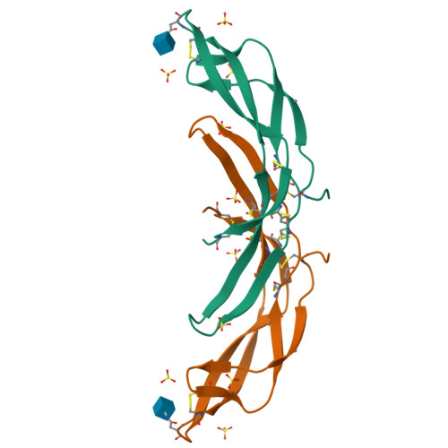 RCSB PDB - 4NT5: Crystal structure of human von Willebrand factor CTCK ...