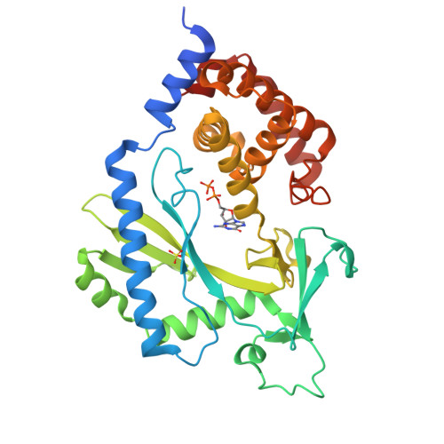 RCSB PDB - 4NXV: Crystal structure of the cytosolic domain of human MiD51
