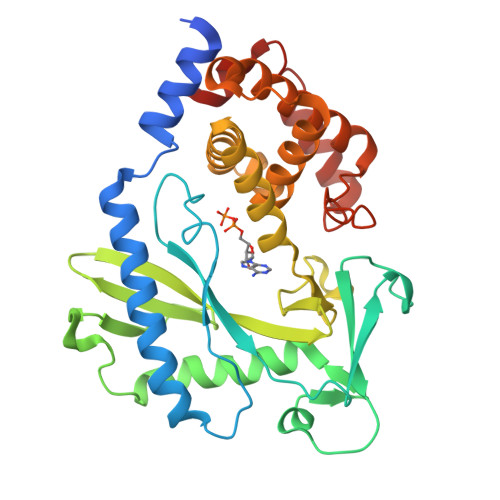 RCSB PDB - 4NXW: Crystal structure of the cytosolic domain of human MiD51