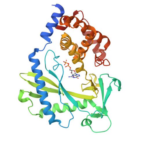 RCSB PDB - 4NXX: Crystal structure of the cytosolic domain of human MiD51